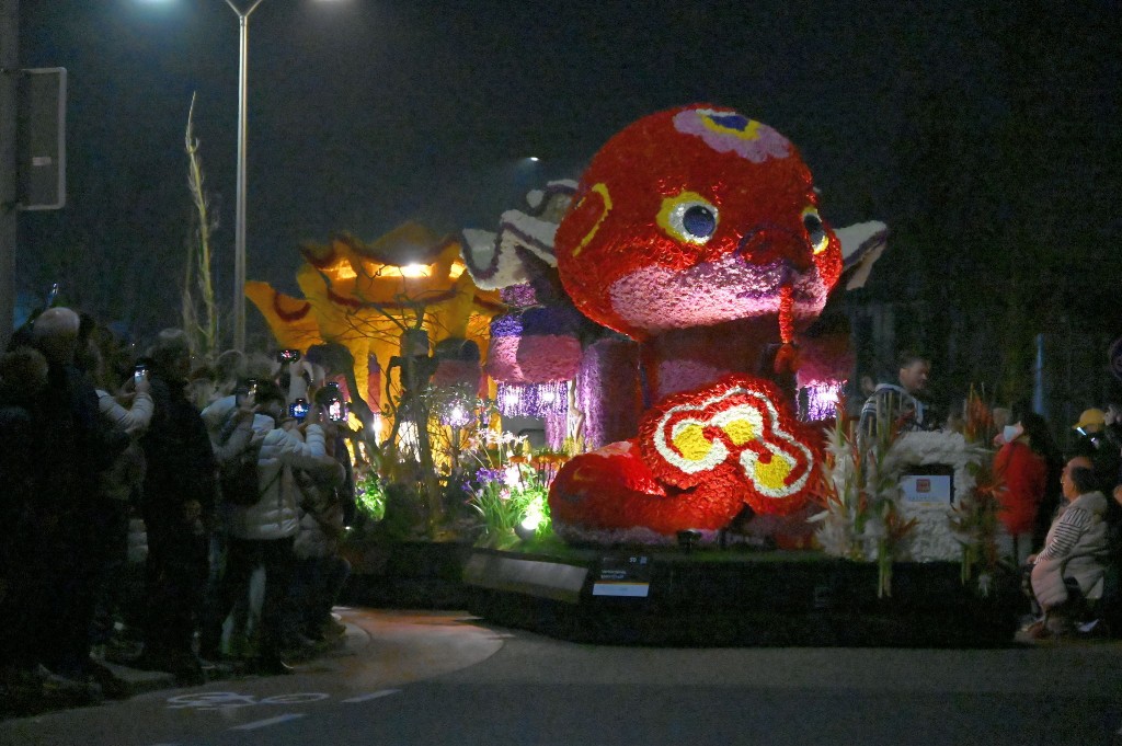 ../Images/Verlicht bloemencorso 2025 162.jpg